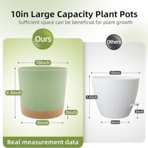 Modern 10-Inch Plant Pots – 2 Pack